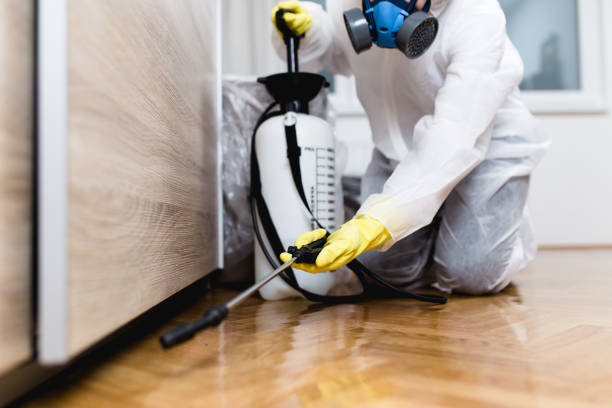 Best Exterminator Services  in Newkirk, OK