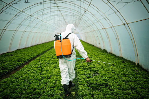Best Best Pest Control Companies  in Newkirk, OK