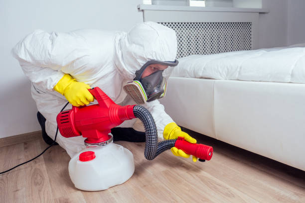 Best Wasp Removal Services  in Newkirk, OK