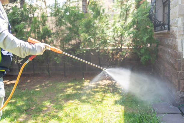 Reliable Newkirk, OK Pest Control Solutions