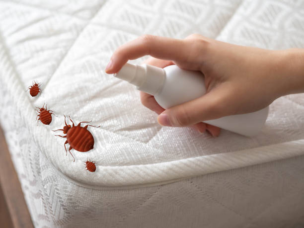Best Pest Inspection Near Me  in Newkirk, OK
