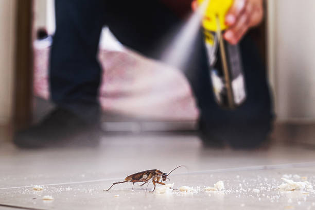 Best Mosquito Control Services  in Newkirk, OK
